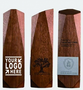 Geometric Custom Engraving Wooden Stand Creative Award