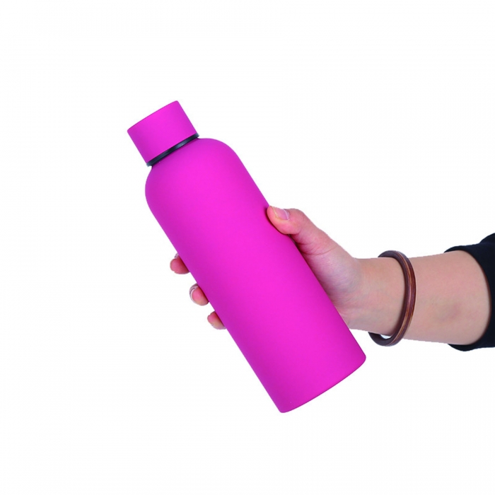 17 oz Stainless Steel Insulated Water Bottle w/ Handle