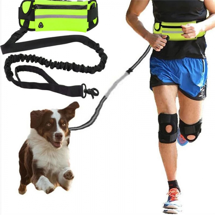 Hands Free Dog Leash with Pouch