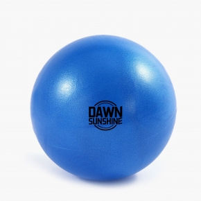 9 Inch Pilates Core Ball