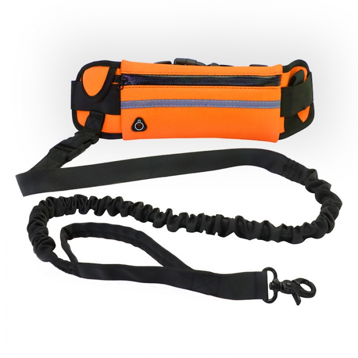 Hands Free Dog Leash with Pouch