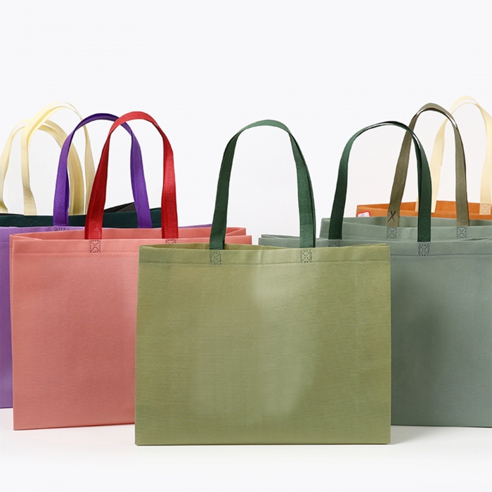 Non-woven Party Favor Bags