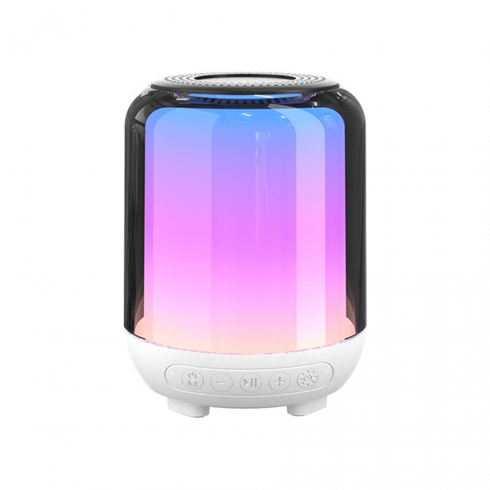 Portable Bluetooth Speaker