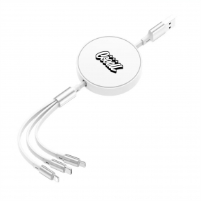 Three-In-One Charging Cable