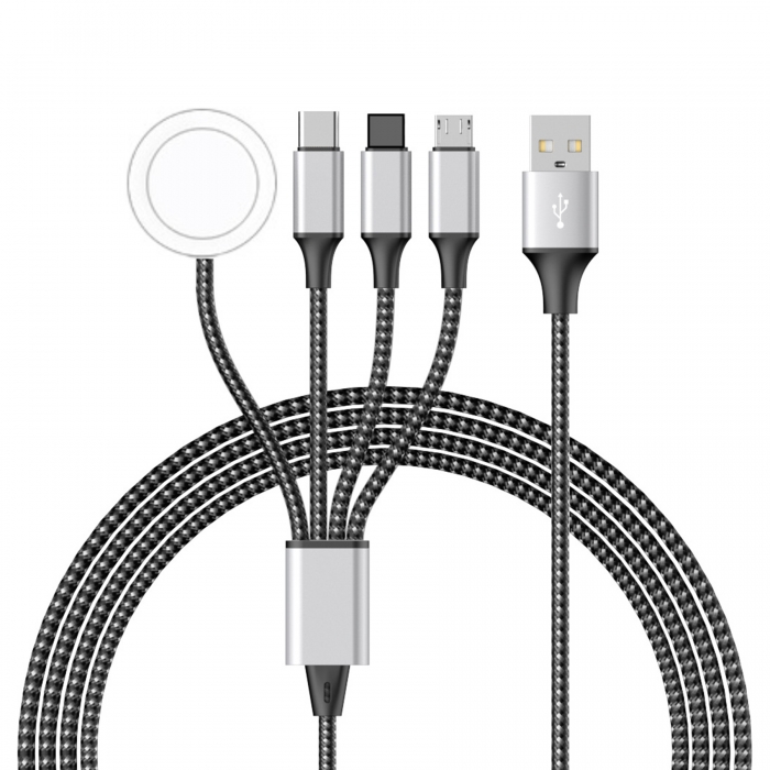 4 in 1 Portable Smart Charging Cable